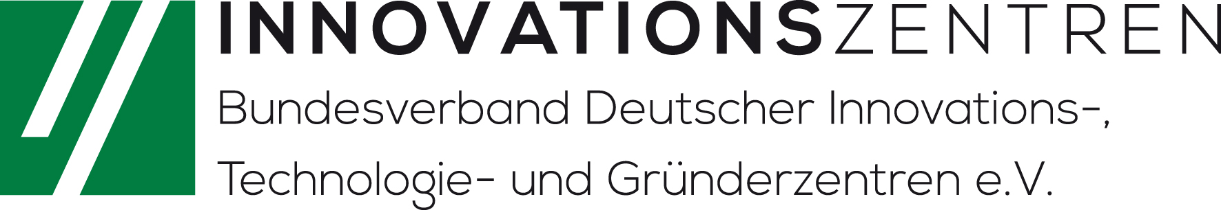 BVIZ Logo