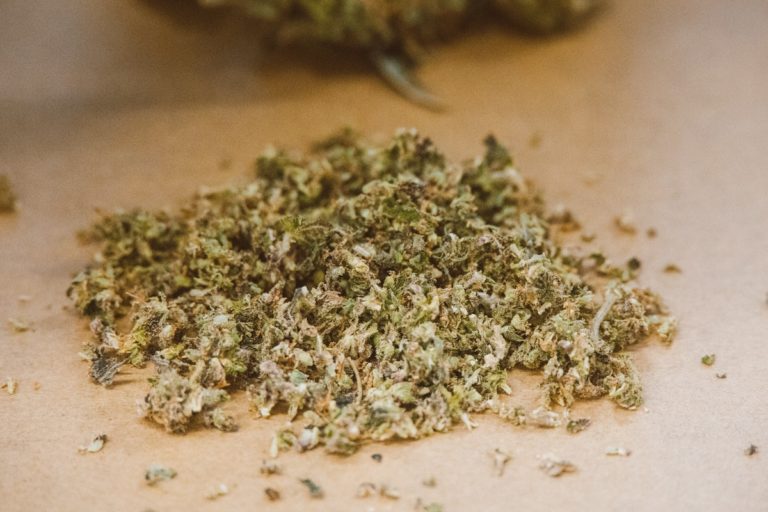 Meinung: Cannabis-Unternehmen sollten nicht alles auf die Legalisierung setzen
