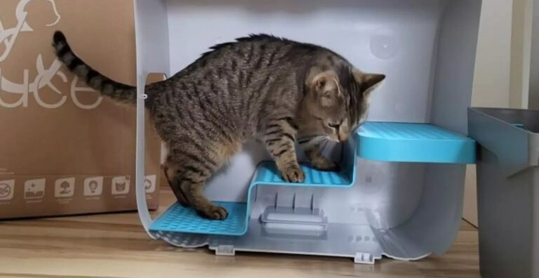 (c) Elly&Bruce - Das Katzenklo Cloou in der Seitenansicht mit integrierter Treppe.