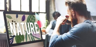 Grüne Startups erhalten Corona-Boost