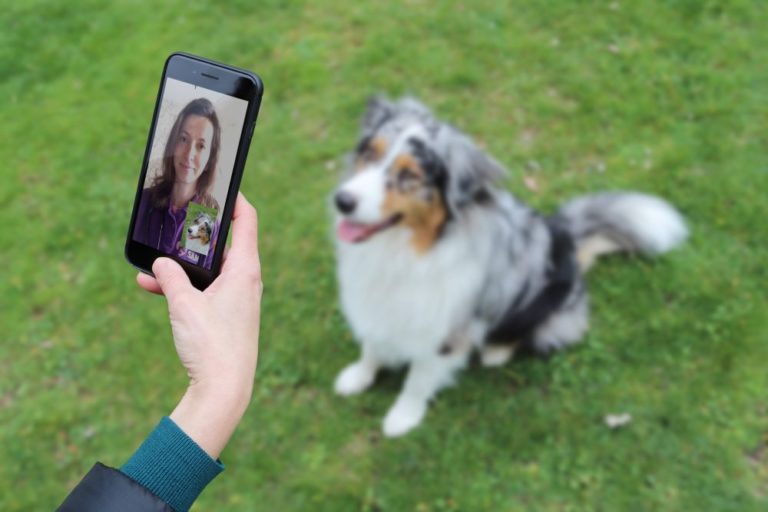 TechVision Fonds investiert in Dr. SAM