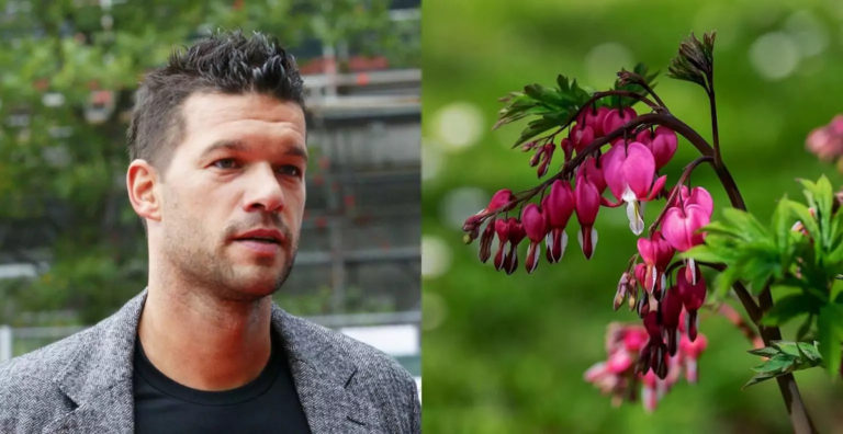 Lucky Plant: Michael Ballack gründet Dünger-Startup