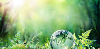 Impact Fonds Ananda Ventures: 108 Mio EUR im Final Closing