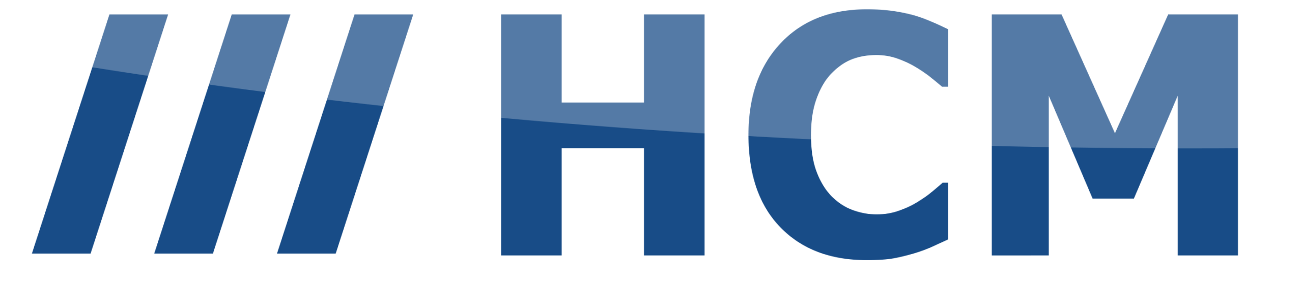 HCM Human Consult Management GmbH & Co. KG