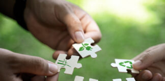 BVK und PwC veröffentlichen Studie zu ESG