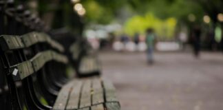 Commerzbank, Tenity und neosfer starten „Joint Innovation Accelerator for Sustainable Finance“