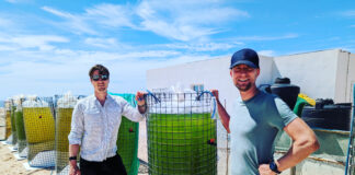 Gründer David Plischke und Stefan Schmid (Viride)