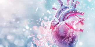 Allogenetics sichert sich 3,4 Mio. EUR für Organtransplation-Lösung – NBank Capital gehört zu Leadinvestoren