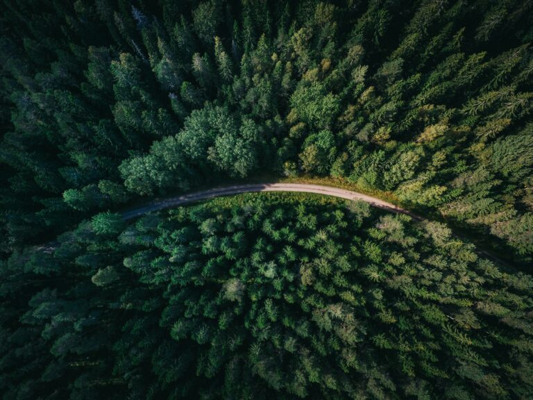 Foto von Geranimo auf Unsplash